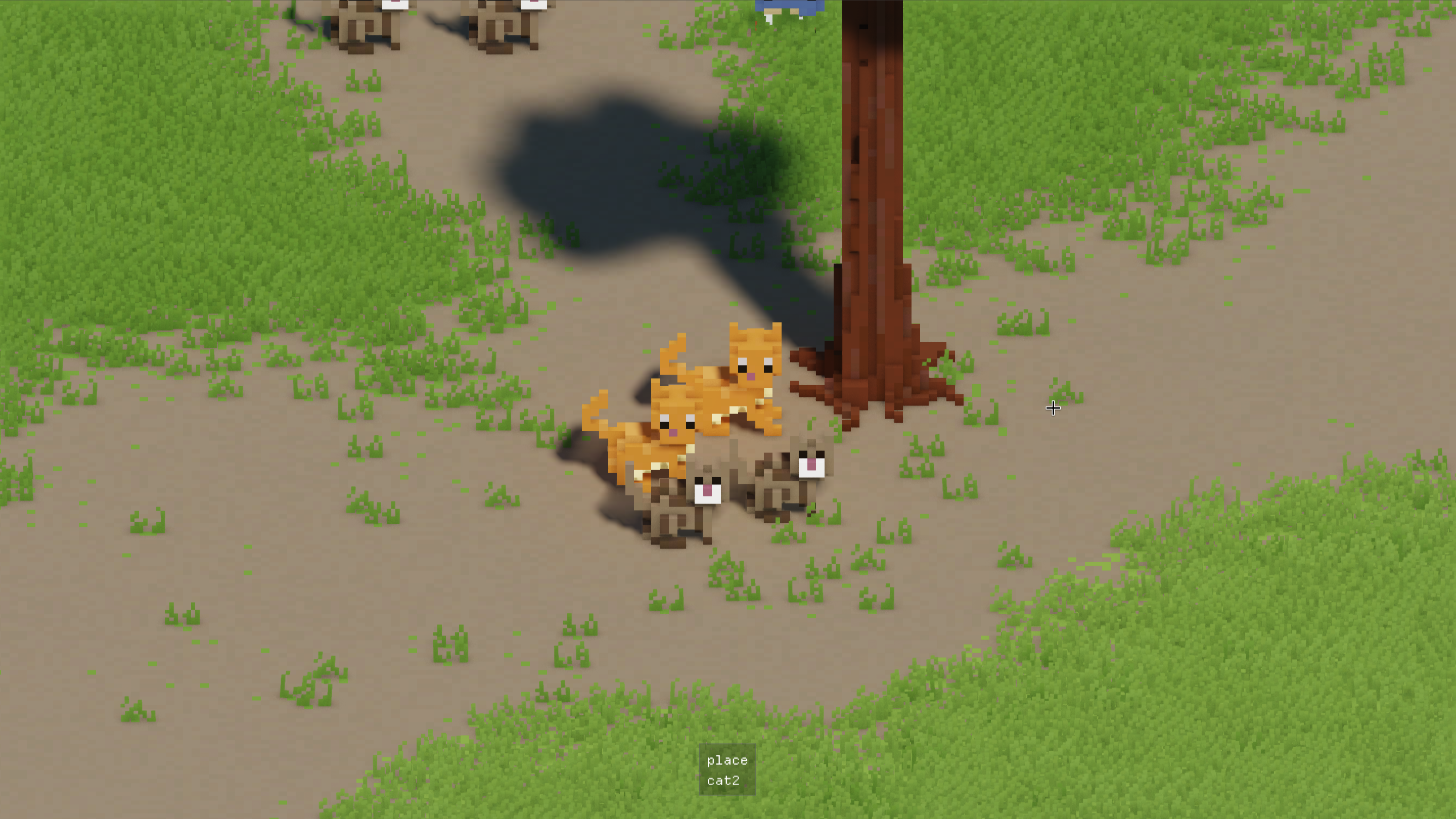 cats