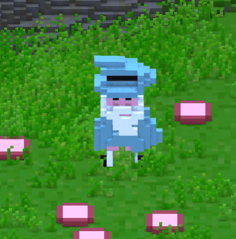 wiz